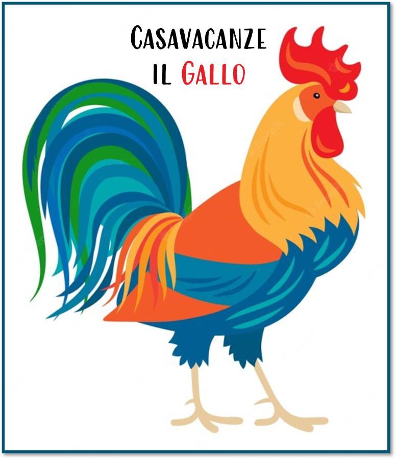 Casavacanze Il Gallo Omegna Exterior photo